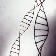 Scleroderma Research Points at New Genetic Region